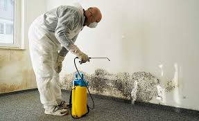 Best Environmental Consulting for Mold Prevention  in Spokane, WA