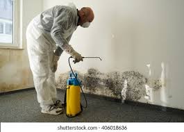 Best Mold Documentation for Insurance Claims  in Spokane, WA